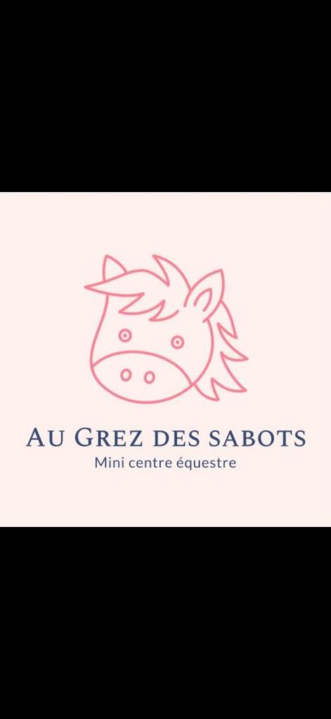 Cours d'équitation à partir de 3 ans, Dieren en Toebehoren, Paarden en Pony's | Overige Paardenspullen