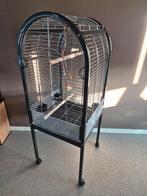 Prachtige papagaaien kooi, Ophalen