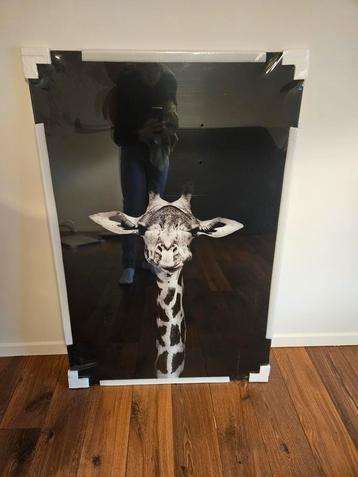 Glasschilderij Giraf te koop