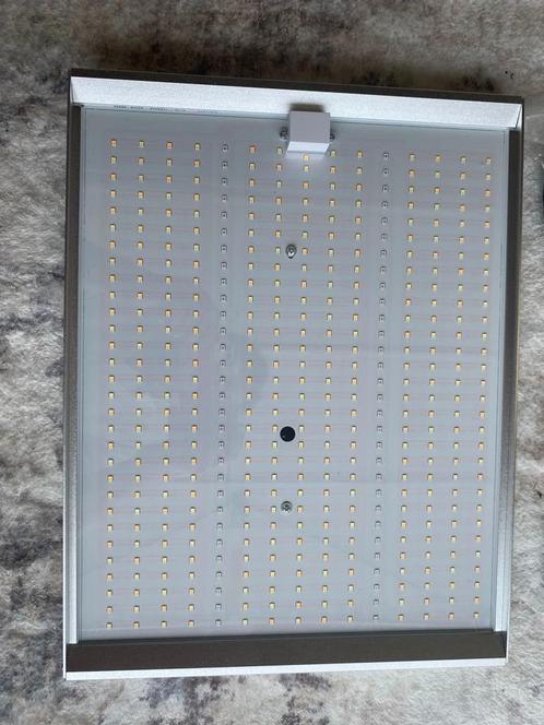 100W dimbaar groeilicht met volledig spectrum, Tuin en Terras, Kweekspullen, Nieuw, Ophalen of Verzenden