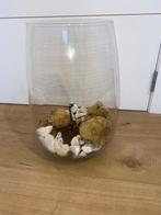 Terrarium Oh Green, Ophalen of Verzenden, Overige soorten, Minder dan 100 cm