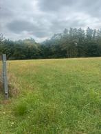 2 weideplaatsen en weide in eigen beheer te huur, Dieren en Toebehoren