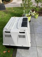 Honden Bensch, Dieren en Toebehoren, Ophalen, Hond