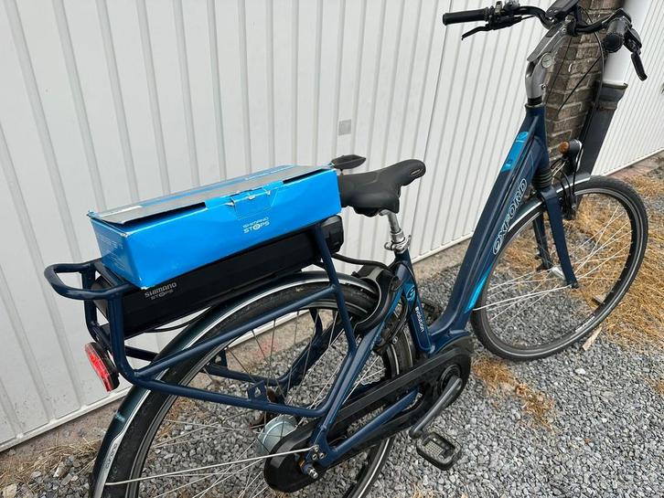 Elektrische fiets, Fietsen en Brommers, Elektrische fietsen, Ophalen