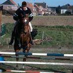 verzorg paard, Jument, Débourré, Cheval de récréation, 11 ans ou plus