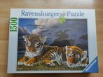 puzzel tijgers, Ophalen of Verzenden, 500 t/m 1500 stukjes, Nieuw, Legpuzzel