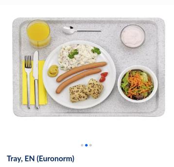 Dienblad voor horeca of in regaalwagen 6€ (nu nog 8 stuks), Ophalen, Overige materialen, Effen, Schaal of Schalen
