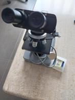 microscoop, Audio, Tv en Foto, Optische apparatuur | Microscopen, Ophalen