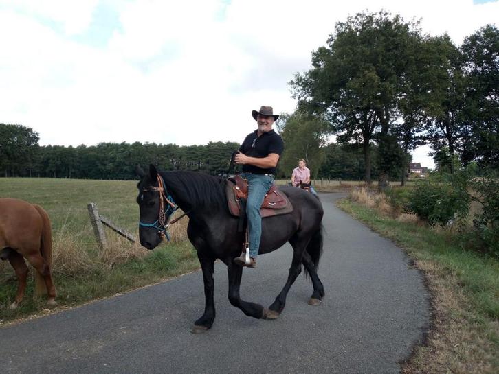 Friesse merrie zoekt dringend nieuwe thuis, Dieren en Toebehoren, Paarden en Pony's | Verzorgingsproducten, Zo goed als nieuw