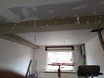 Te huur. Professionele gyproclift Levpano, Doe-het-zelf en Bouw, Bouwliften, Ophalen, Gebruikt