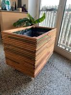 Plantenbak op wieltjes, Ophalen, Gebruikt, Binnen, 60 tot 100 cm