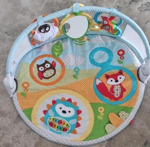 Skip Hop Explore and More Funscape Activity Gym, Kinderen en Baby's, Speelgoed | Speelkleden, Zo goed als nieuw, Ophalen