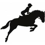 Lesgever/lesgeefster gezocht, Dieren en Toebehoren, Paarden