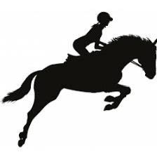 Lesgever/lesgeefster gezocht, Dieren en Toebehoren, Paarden