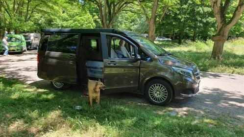 MERCEDES MARCO POLO 4-MATIC, Auto's, Mercedes-Benz, Particulier, Vito, 360° camera, 4x4, ABS, Achteruitrijcamera, Adaptieve lichten