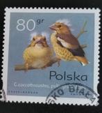Polen 1995 - vogels - kuikens van zangvogels - appelvink, Ophalen of Verzenden, Polen, Gestempeld