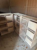Boîtes de culture, Animaux & Accessoires, Oiseaux | Pigeons