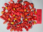 Lot 25 Gogos Crazy Bones - rood, Verzenden, Zo goed als nieuw