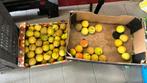 Lot tennisballen, Sport en Fitness, Tennis, Ophalen of Verzenden, Zo goed als nieuw