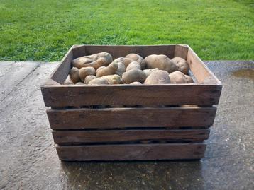 Pommes de terre en boîte de 30 kg