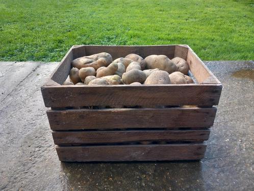 Aardappelen in kist van 30kg, Zakelijke goederen, Landbouw | Aardappelen, Groenten, Fruit en Vlees, Ophalen