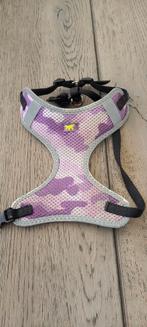 Honden halsband., Dieren en Toebehoren, Ophalen