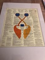 A diagrammic sketch of the human visual system 70 x 50, Boeken, Studieboeken en Cursussen, Ophalen