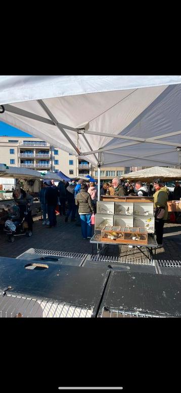 Wekelijkse dierenmarkt op zondag in Mol nog steeds geopend beschikbaar voor biedingen