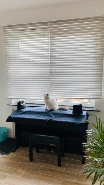 Lamellen beschikbaar voor biedingen