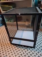 Gaas terrarium, Enlèvement