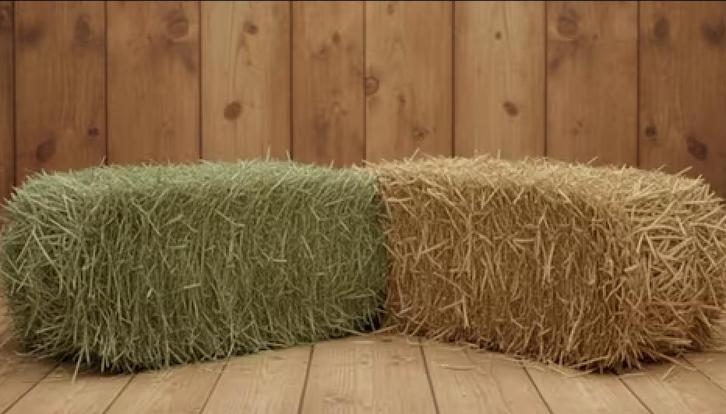 Hooi en stro : kleine bundels, Dieren en Toebehoren, Dierenvoeding, Vee, Ophalen