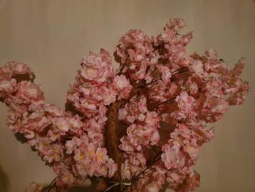 Decoratie kersenbloesemtak beschikbaar voor biedingen