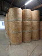 tarwestro midibalen 2025 Prijs 15 euro stuk, Enlèvement, Élevage, Autres types