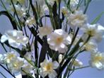 Zijden bloemen op tak - wit beige kleur - 100 bloemetjes, Hobby en Vrije tijd, Ophalen, Nieuw, Overige typen
