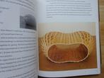 Richard Deacon, Monography Phaidon, 1995, Ophalen of Verzenden, Zo goed als nieuw, Beeldhouwkunst