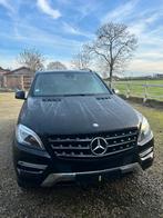 Mercedes ML 250 BLUETEC 4MATIC EURO 6/Cargo léger, Cuir, Classe M, Euro 6, 2 places