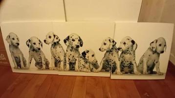 Kaders dalmatiërs drieluik, Huis en Inrichting, Ophalen of Verzenden, Zo goed als nieuw
