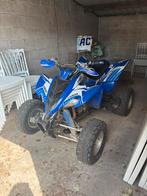 Raptor 350cc goedgekeurd voor de weg, Motoren, 1 cilinder, 350 cc