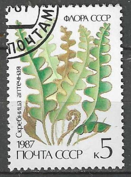 Rusland 1987 - Yvert 5422 - De schubvaren (ST), Postzegels en Munten, Postzegels | Europa | Rusland, Gestempeld, Verzenden