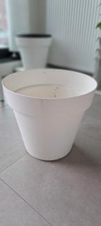 Grote buitenpot, bloempot, Tuin en Terras, Ophalen