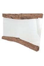 Boomstam spiegel, Ophalen of Verzenden, Nieuw, 125 cm of meer, Minder dan 100 cm