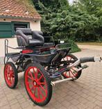 Rood met blauwe marathonkoets, Dieren en Toebehoren, Zo goed als nieuw, Pony