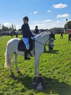 Lieve D-pony zkt nieuwe thuis (einde maat), Dieren en Toebehoren, Niet van toepassing, Springpony, 11 jaar of ouder, D pony (1.37m tot 1.48m)