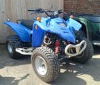 Quad adly 300 doe een goed bod, 1 cilinder, 300 cc