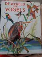 De wereld der vogels - Jean Dorst 93 pag, Livres, Nature, Comme neuf, Enlèvement ou Envoi, Oiseaux