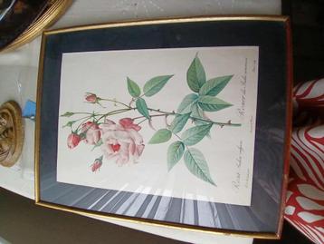 Peinture, Enlèvement