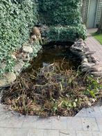 Vijver &  bijhorende; vissen / planten / filter /stenen, Tuin en Terras, Ophalen, Gebruikt, Overige typen