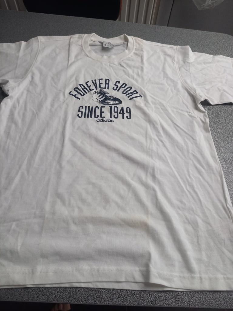 T shirt. Adidas. Nieuw, Kleding | Heren, T-shirts, Maat 52/54 (L), Wit, Nieuw, Ophalen of Verzenden