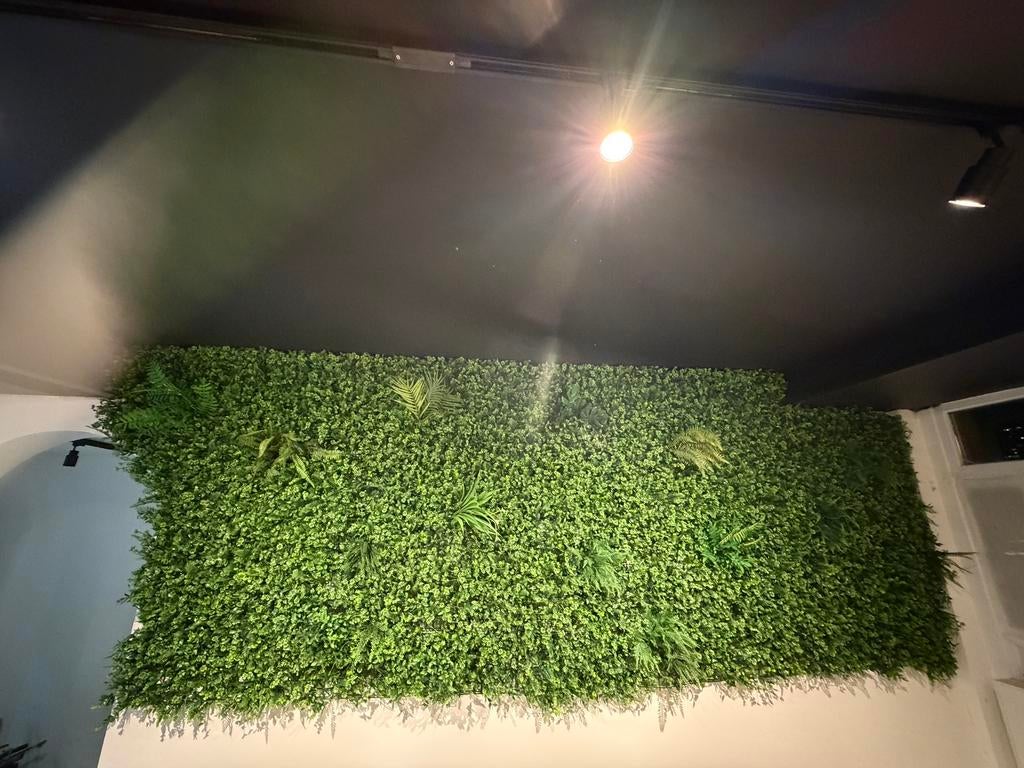 kunststof wandplanten, Ophalen of Verzenden, Zo goed als nieuw