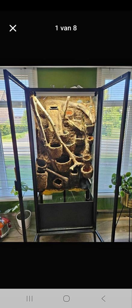 Tropische planten kast ., Ophalen